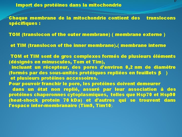 Import des protéines dans la mitochondrie Chaque membrane de la mitochondrie contient des spécifiques