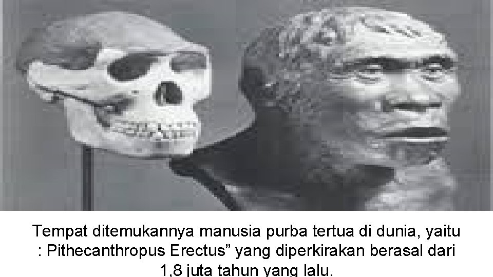 Tempat ditemukannya manusia purba tertua di dunia, yaitu : Pithecanthropus Erectus” yang diperkirakan berasal