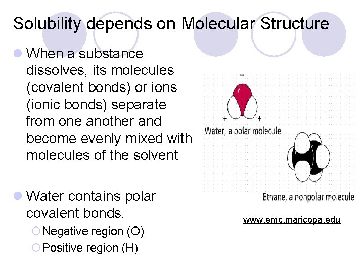 Solubility depends on Molecular Structure l When a substance dissolves, its molecules (covalent bonds) Solubility depends on Molecular Structure l When a substance dissolves, its molecules (covalent bonds)
