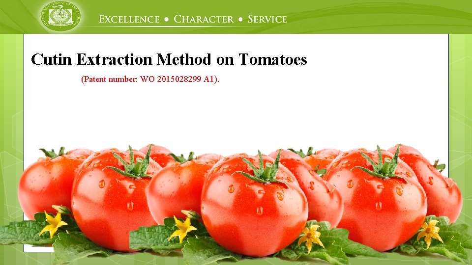 Cutin Extraction Method on Tomatoes (Patent number: WO 2015028299 A 1). 