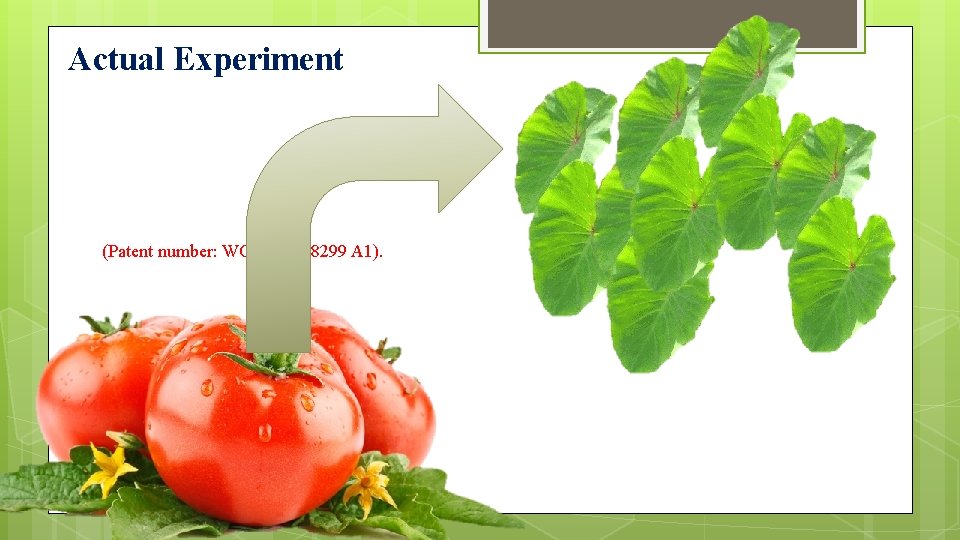 Actual Experiment (Patent number: WO 2015028299 A 1). 