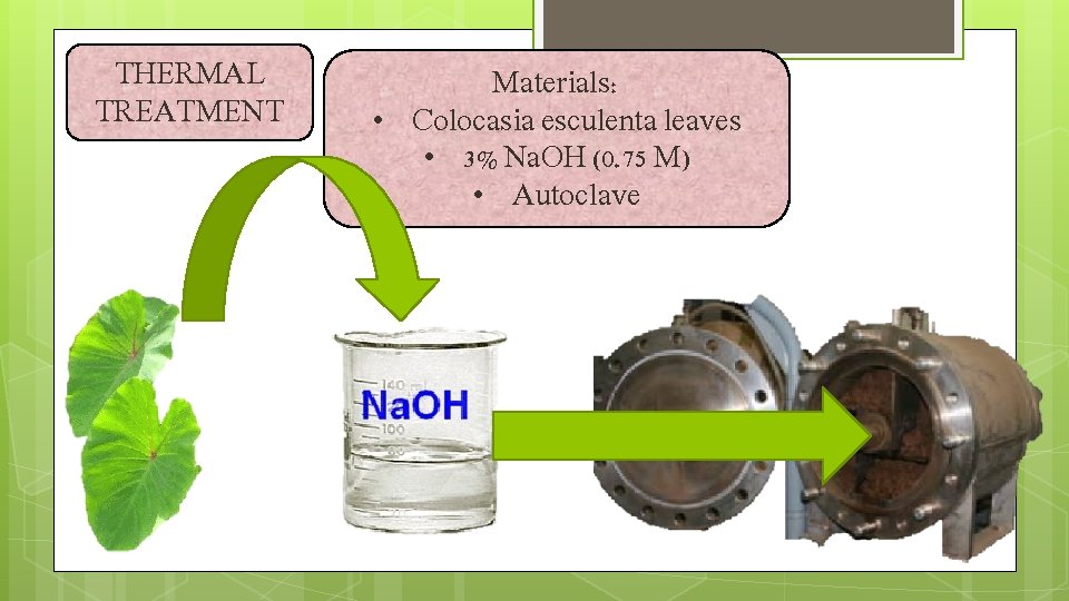 THERMAL TREATMENT Materials: • Colocasia esculenta leaves • 3% Na. OH (0. 75 M)