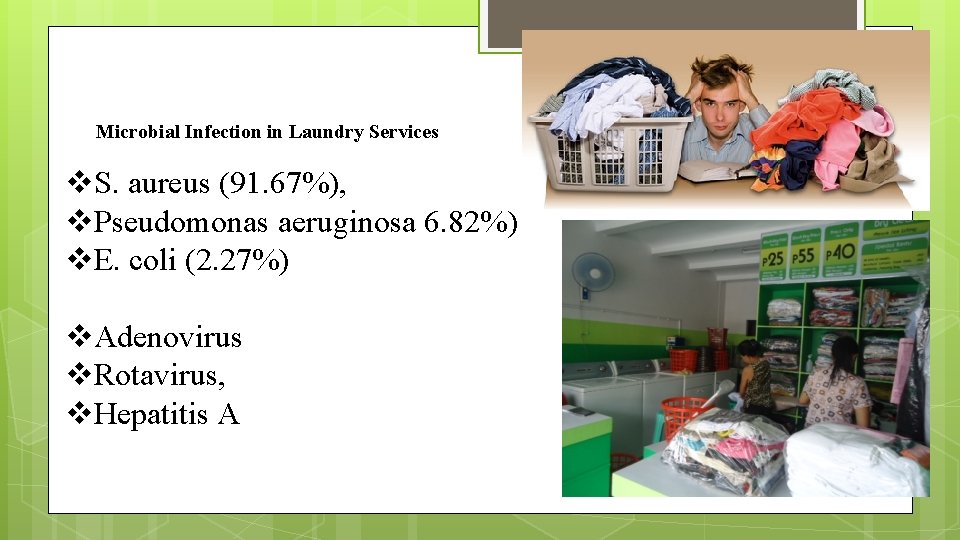 Microbial Infection in Laundry Services v. S. aureus (91. 67%), v. Pseudomonas aeruginosa 6.