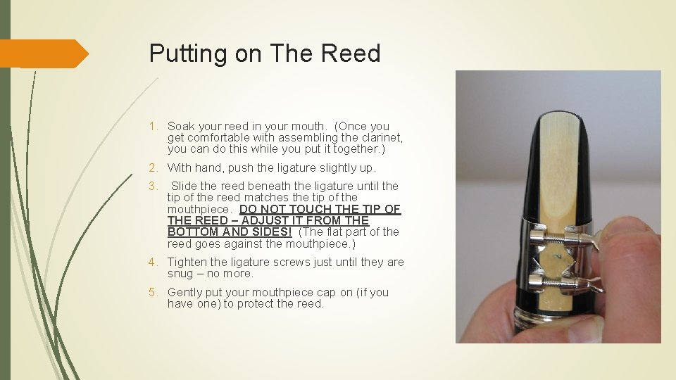 Putting on The Reed 1. Soak your reed in your mouth. (Once you get