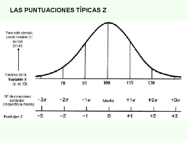 LAS PUNTUACIONES TÍPICAS Z 