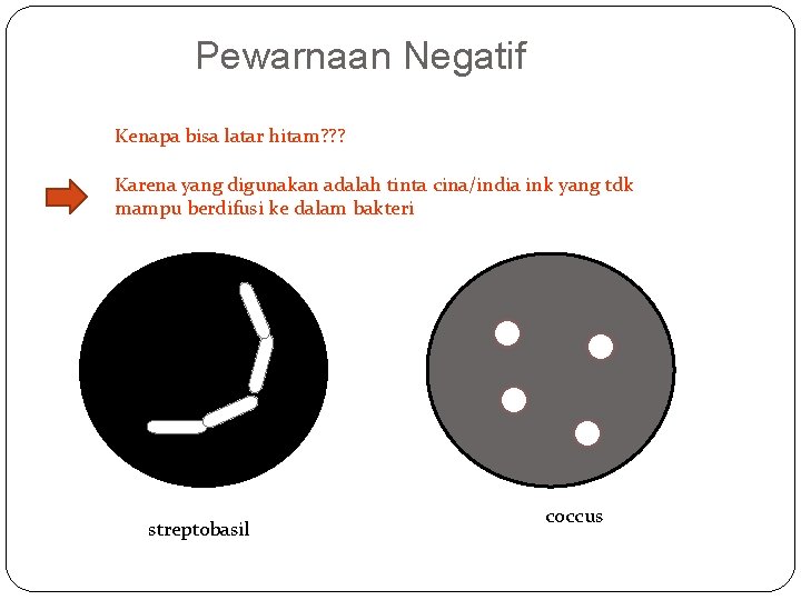 Pewarnaan Negatif Kenapa bisa latar hitam? ? ? Karena yang digunakan adalah tinta cina/india