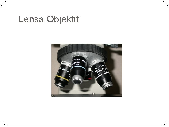 Lensa Objektif 