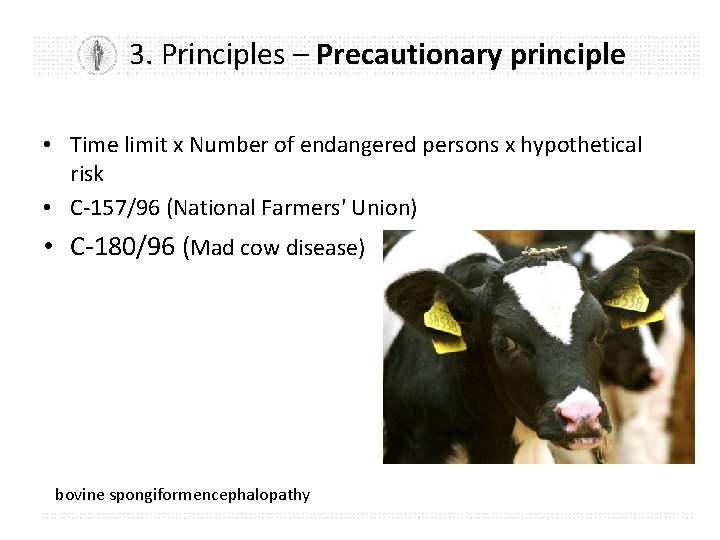 3. Principles – Precautionary principle • Time limit x Number of endangered persons x