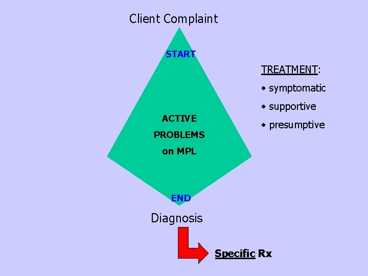 Client Complaint START TREATMENT: • symptomatic ACTIVE PROBLEMS • supportive • presumptive on MPL