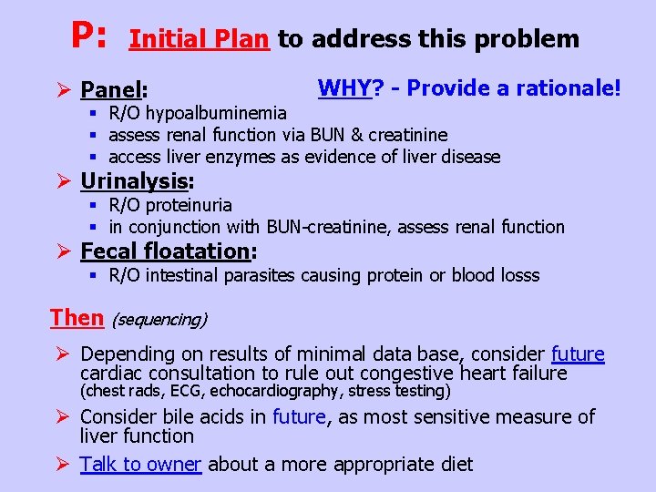 P: Initial Plan to address this problem Ø Panel: WHY? - Provide a rationale!