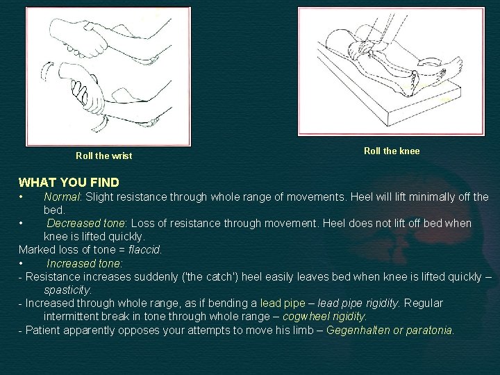 Roll the wrist Roll the knee WHAT YOU FIND • Normal: Slight resistance through