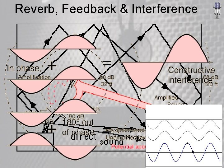 Reverb, Feedback & Interference 