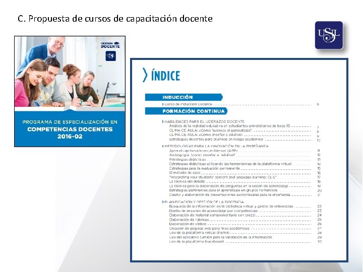 C. Propuesta de cursos de capacitación docente 