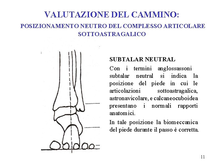 VALUTAZIONE DEL CAMMINO: POSIZIONAMENTO NEUTRO DEL COMPLESSO ARTICOLARE SOTTOASTRAGALICO SUBTALAR NEUTRAL Con i termini