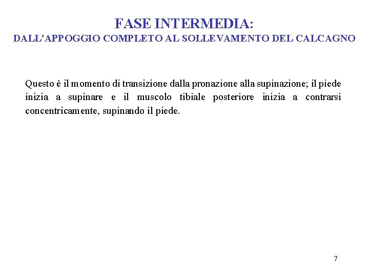 FASE INTERMEDIA: DALL'APPOGGIO COMPLETO AL SOLLEVAMENTO DEL CALCAGNO Questo è il momento di transizione