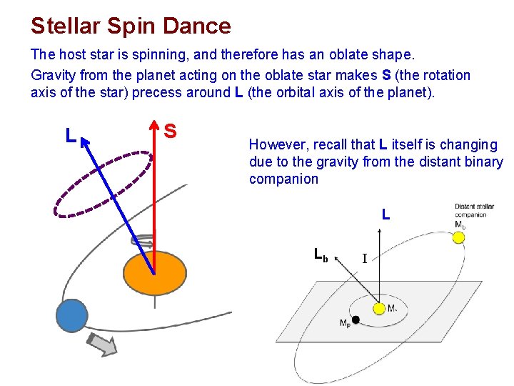 Stellar Spin Dance The host star is spinning, and therefore has an oblate shape.