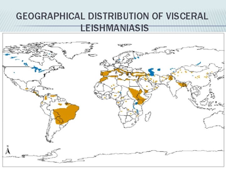 GEOGRAPHICAL DISTRIBUTION OF VISCERAL LEISHMANIASIS 