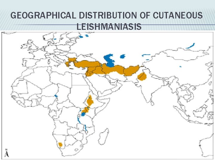 GEOGRAPHICAL DISTRIBUTION OF CUTANEOUS LEISHMANIASIS 
