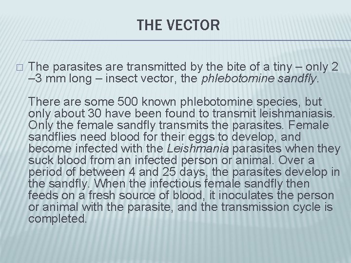 THE VECTOR � The parasites are transmitted by the bite of a tiny –
