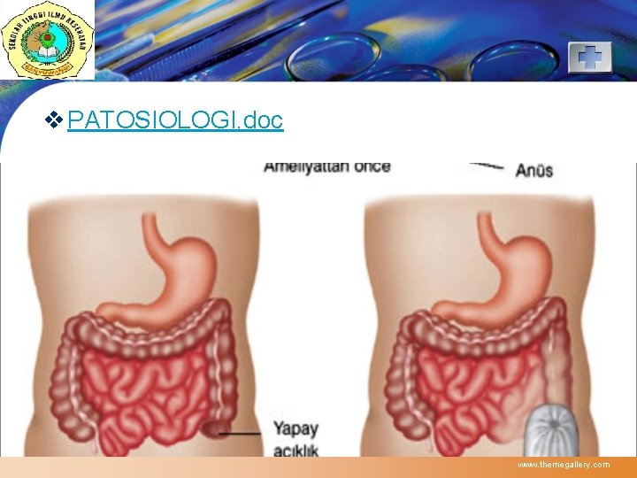 LOGO v PATOSIOLOGI. doc www. themegallery. com 