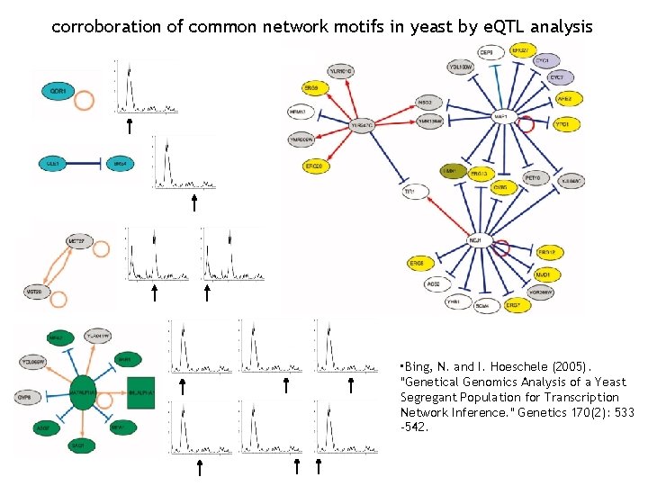 corroboration of common network motifs in yeast by e. QTL analysis • Bing, N.