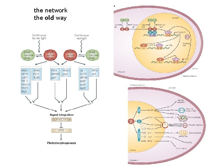 the network the old way 