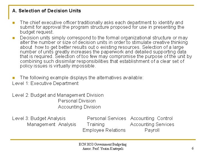 A. Selection of Decision Units n n The chief executive officer traditionally asks each
