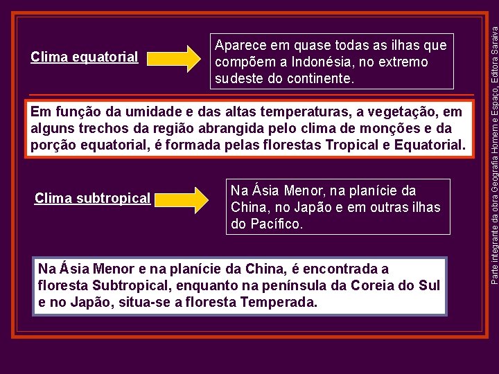 Em função da umidade e das altas temperaturas, a vegetação, em alguns trechos da