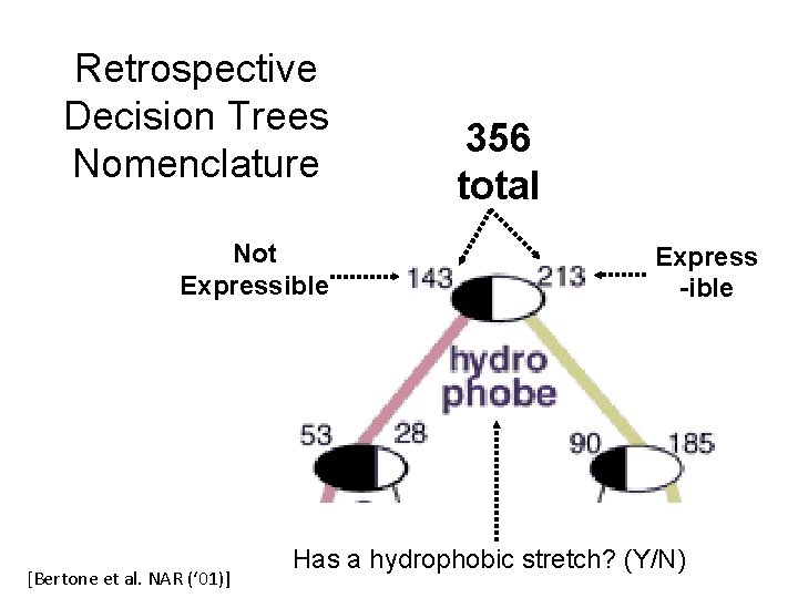 Not Expressible [Bertone et al. NAR (‘ 01)] 356 total Express -ible Has a