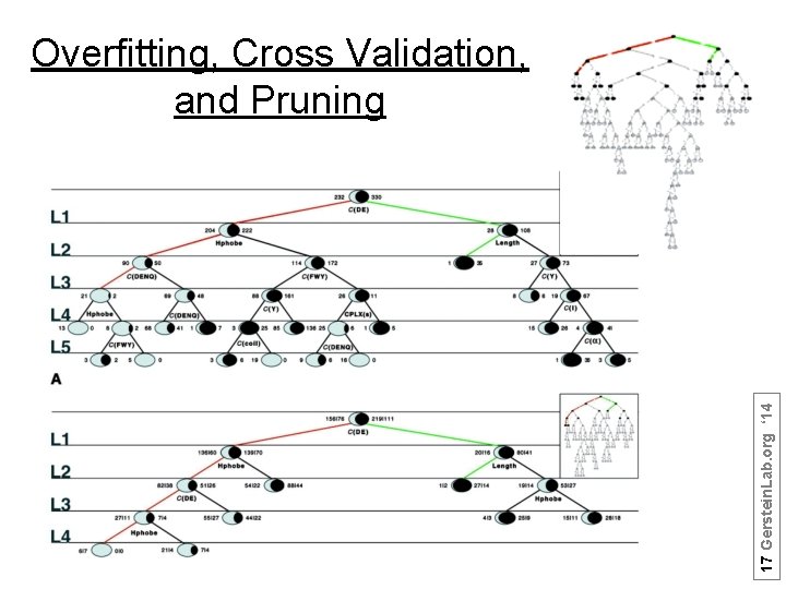 17 Gerstein. Lab. org ‘ 14 Overfitting, Cross Validation, and Pruning 