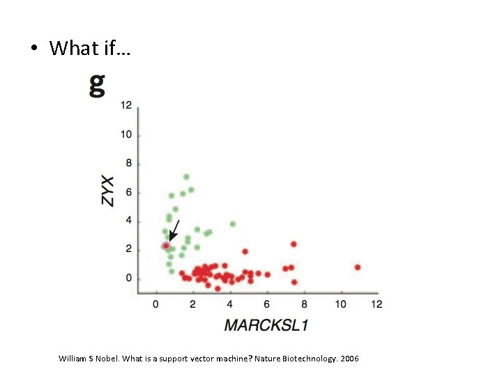  • What if… William S Nobel. What is a support vector machine? Nature