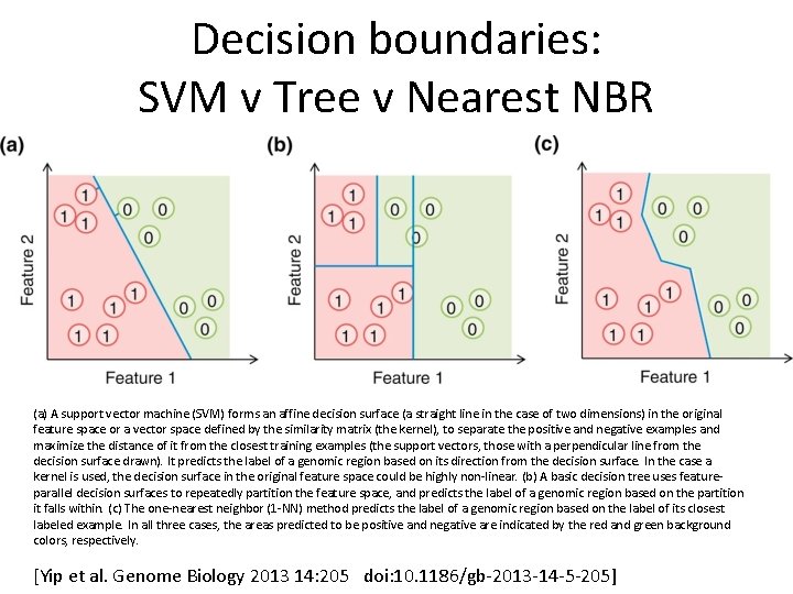 Decision boundaries: SVM v Tree v Nearest NBR (a) A support vector machine (SVM)