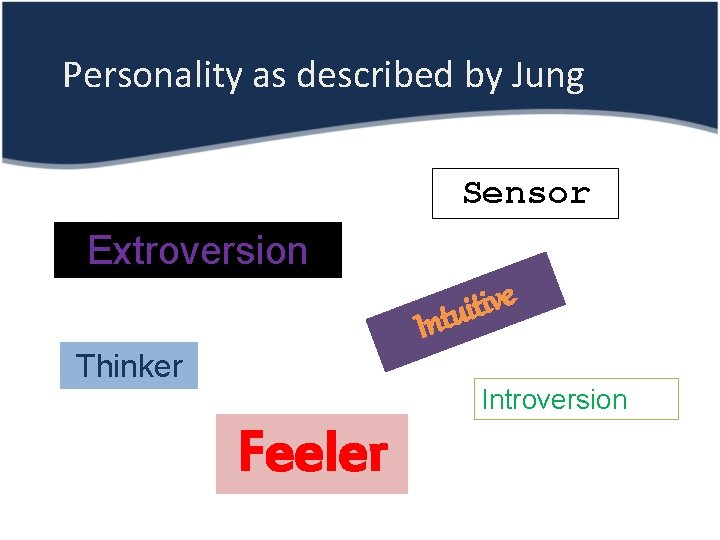 Personality as described by Jung Sensor Extroversion e v i t i Intu Thinker