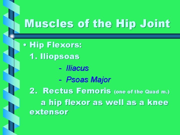 Muscles of the Hip Joint • Hip Flexors: 1. Iliopsoas - Iliacus - Psoas