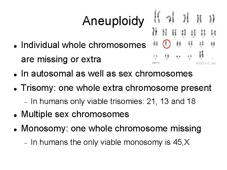 Aneuploidy Individual whole chromosomes are missing or extra In autosomal as well as sex