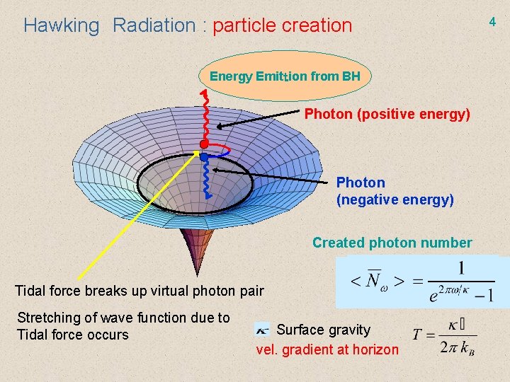 Hawking　Radiation : particle creation Energy Emitｔion from BH Photon (positive energy) Photon (negative energy)