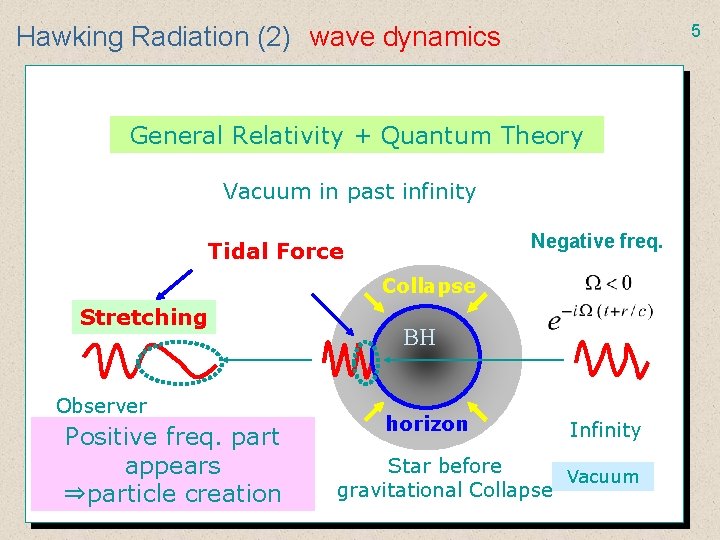 5 Hawking Radiation (2)　wave dynamics General Relativity + Quantum Theory Vacuum in past infinity