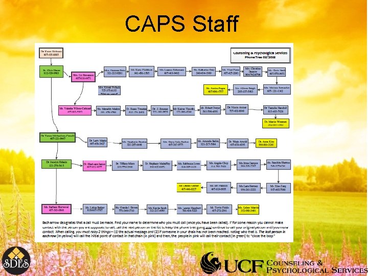 CAPS Staff 