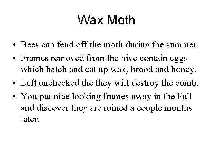 Wax Moth • Bees can fend off the moth during the summer. • Frames