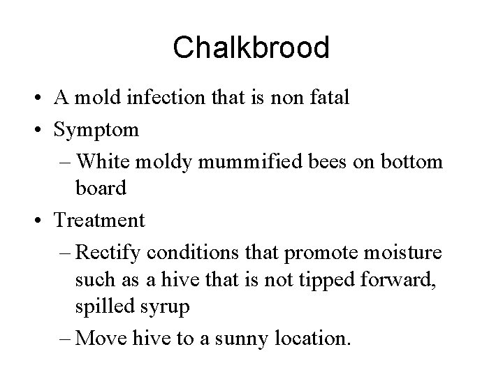 Chalkbrood • A mold infection that is non fatal • Symptom – White moldy