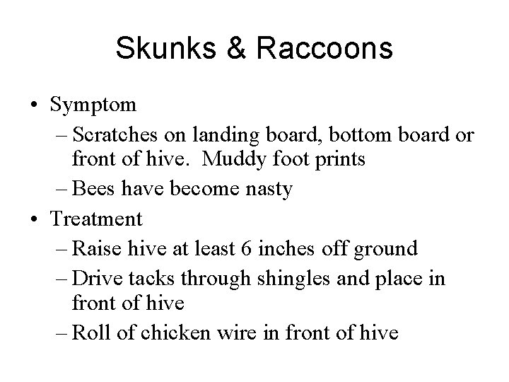 Skunks & Raccoons • Symptom – Scratches on landing board, bottom board or front