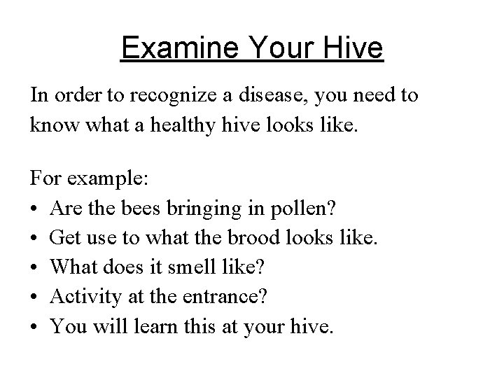 Examine Your Hive In order to recognize a disease, you need to know what