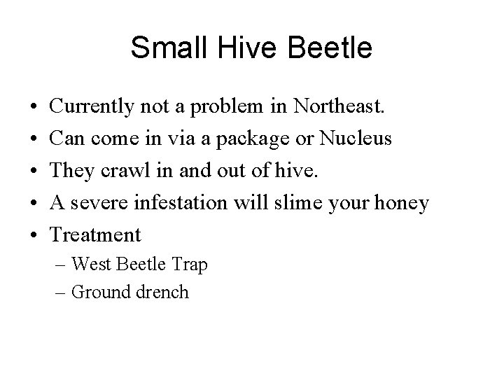 Small Hive Beetle • • • Currently not a problem in Northeast. Can come