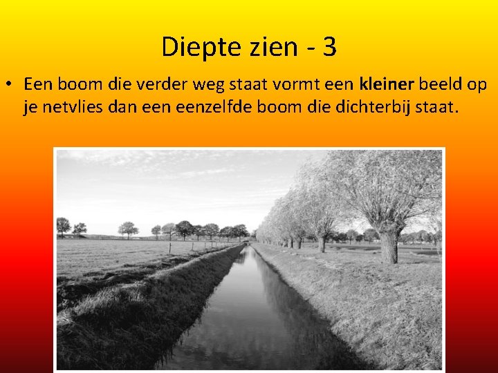 Diepte zien - 3 • Een boom die verder weg staat vormt een kleiner