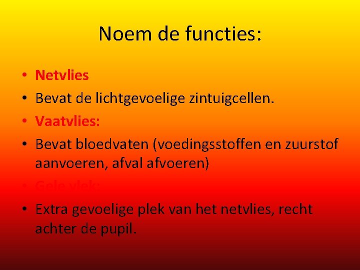 Noem de functies: Netvlies Bevat de lichtgevoelige zintuigcellen. Vaatvlies: Bevat bloedvaten (voedingsstoffen en zuurstof