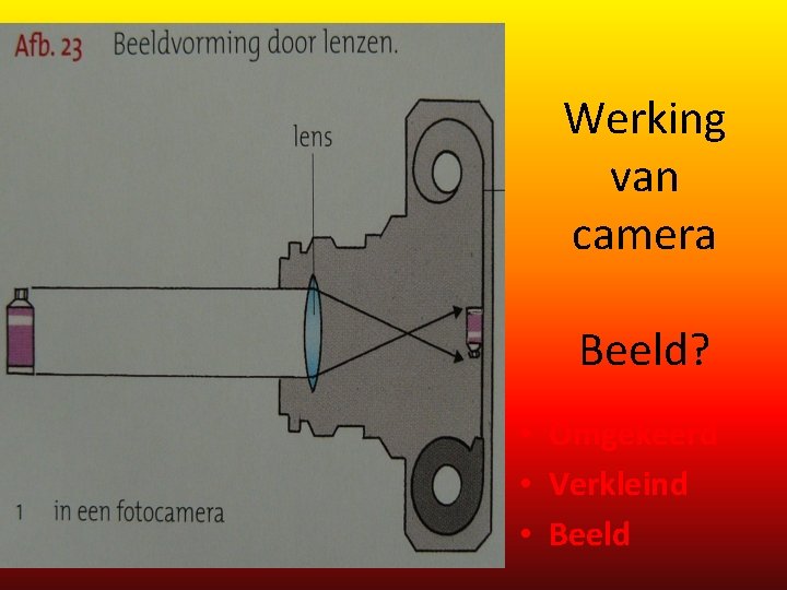 Werking van camera Beeld? • Omgekeerd • Verkleind • Beeld 