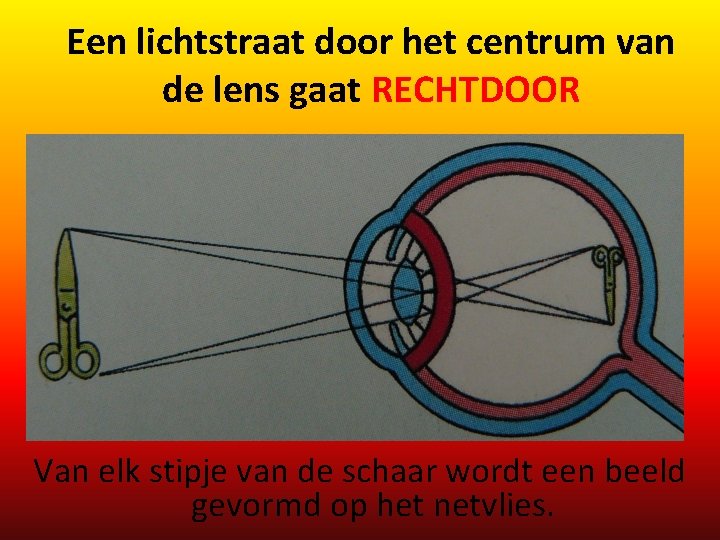 Een lichtstraat door het centrum van de lens gaat RECHTDOOR Van elk stipje van