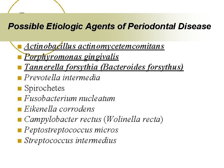 Possible Etiologic Agents of Periodontal Disease Actinobacillus actinomycetemcomitans n Porphyromonas gingivalis n Tannerella forsythia
