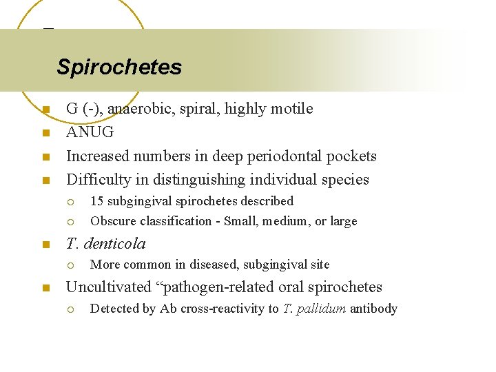 Spirochetes n n G (-), anaerobic, spiral, highly motile ANUG Increased numbers in deep