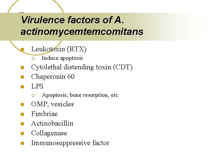 Virulence factors of A. actinomycemtemcomitans n Leukotoxin (RTX) ¡ n n n Cytolethal distending